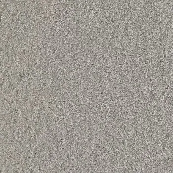 Draufsicht Girloon Cloud 511 Velours Teppichboden